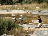 317 Picknick im Wadi Tiwi