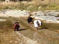 319 Vorbereitung zum Gebet