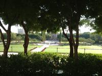 338 Sultan Qaboos Moschee Muscat