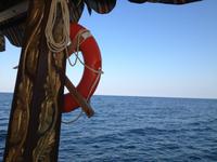 382 Dhau-Schifffahrt entlang der Küste