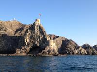 389 Dhau-Schifffahrt entlang der Küste