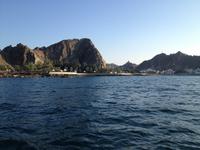 391 Dhau-Schifffahrt entlang der Küste