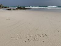 542 Fazaya Beach