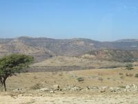 Ausflug ins Qara-Gebirge