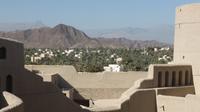 Bahla Fort