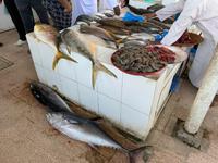 Barka - Fischmarkt