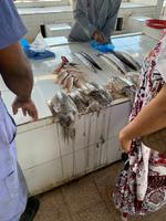 Barka - Fischmarkt