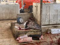 Barka - Fischmarkt