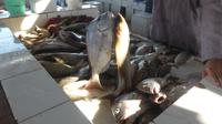 Barka Fischmarkt