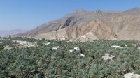 Birkat Al Mauz