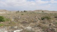 Friedhof bei Mirbat