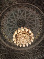 IMG 20231111 090505