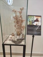 IMG 20231112 092841