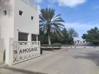 IMG 20231112 100334