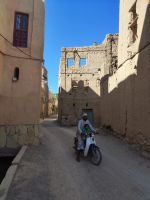 IMG 20231113 102530