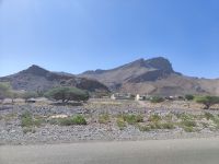 IMG 20231113 114009