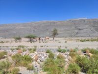 IMG 20231113 114259