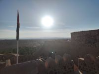 IMG 20231113 161831