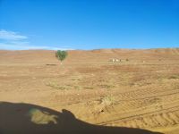 IMG 20231114 160651
