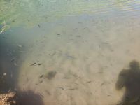 IMG 20231115 104438
