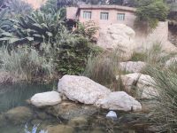 IMG 20231115 163931