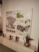 IMG 20231116 142521