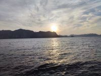 IMG 20231116 164436