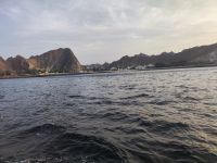 IMG 20231116 165818