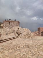 IMG 20231117 120452