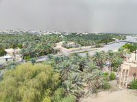 IMG 20231117 120549
