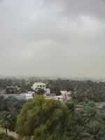 IMG 20231117 120948