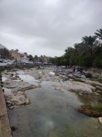 IMG 20231117 124824