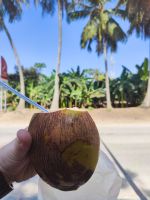 IMG 20231119 115041