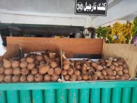 IMG 20231119 115931
