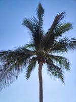 IMG 20231120 105149