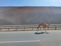 IMG 20231120 143426
