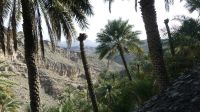 Misfat Al Abreen, Wanderung