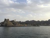 Muscat - Dhau-Fahrt