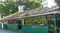 Obststand in Salalah