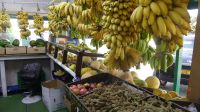 Obststand in Salalah