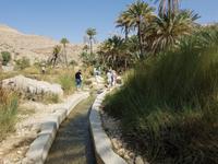 Oman, Wadi Bani Khalid