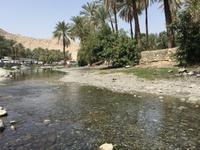 Quellen Ain Thowara