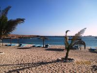 Turtle Beach Resort