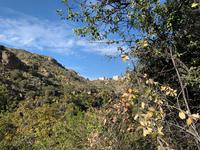Wadi Bani Habib
