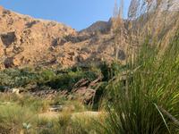 Wadi Tiwi
