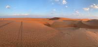 Wahiba Sands - Wüstenimpressionen
