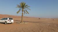 Wahiba Sands
