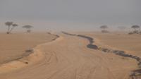 Wahiba Sands