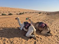 Wahiba Sands