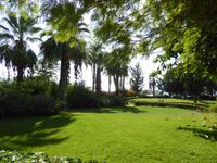 Berg der Seligpreisung